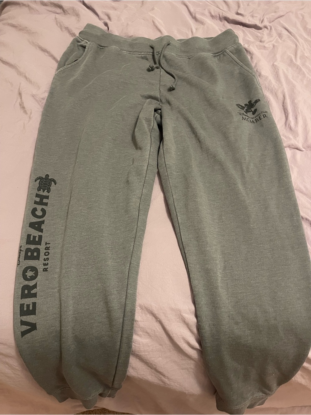 Disney Gray Jogger Pants